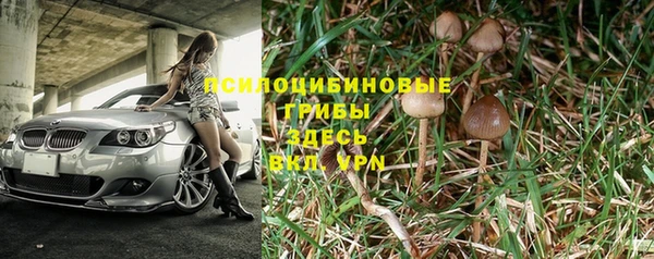 гидра Богородск