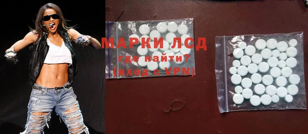гидра Богородск
