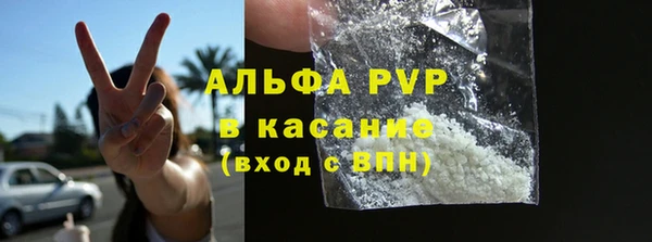 гидра Богородск
