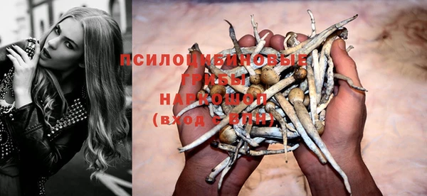 прущие крисы Богородицк