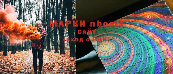 гидра Богородск