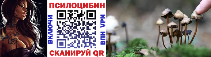 Галлюциногенные грибы Cubensis  Купить  Кореновск 